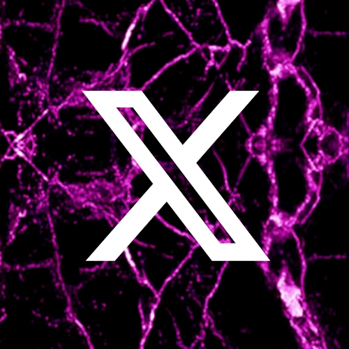 Shadow X logo