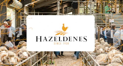 Hazeldenes Breach: Australian Poultry Giant’s Data Found on the Darknet