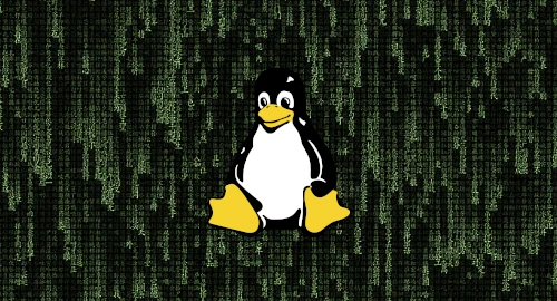 A Decade-Old Linux Kernel Flaw Exposes Widespread Privilege Escalation Risk